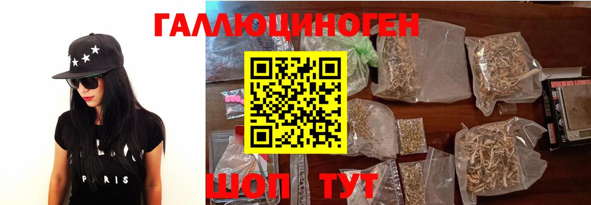 Псилоцибиновые грибы мицелий Хасавюрт